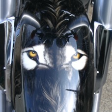 bike 022.jpg