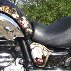bike 035.jpg